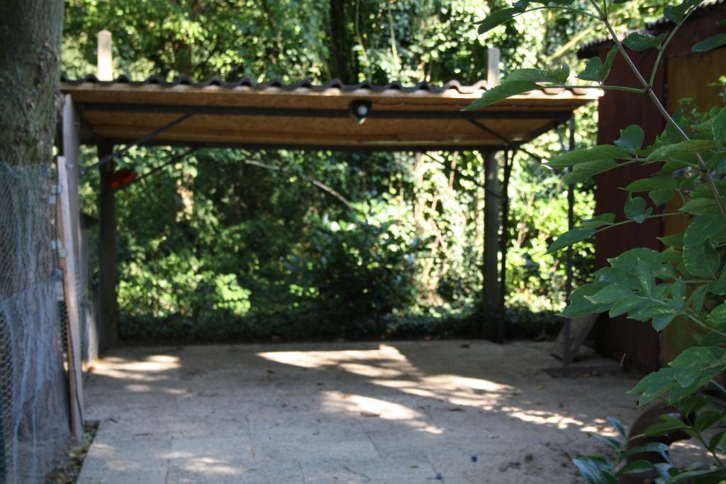 Biedermeier Born Ngoại thất bức ảnh